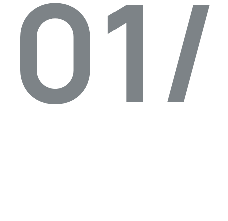 Project Review